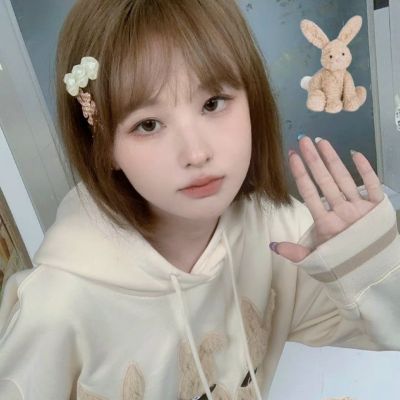 后宫攻略手游(暂未上线)v1.1 官方安卓版